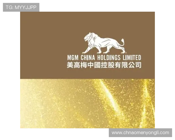 美高梅中国控股在中国市场的投资布局与合作伙伴关系详尽解读